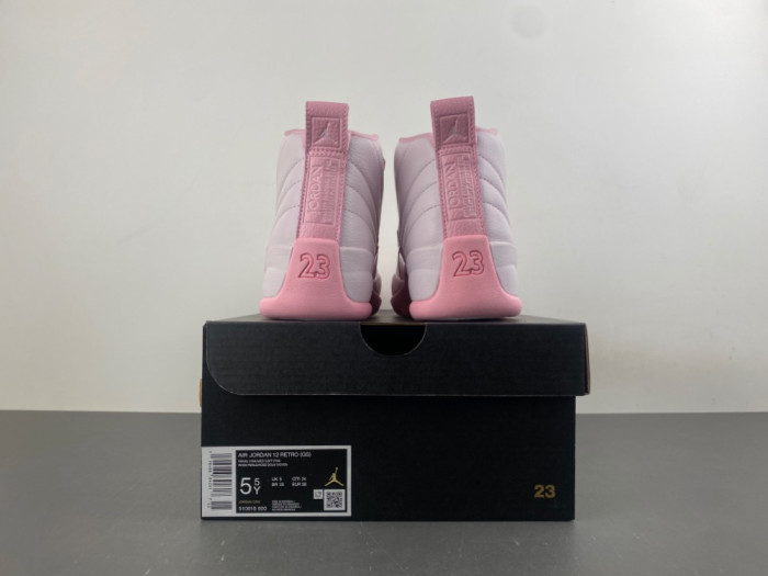 Air Jordan 12 GS 510815 600