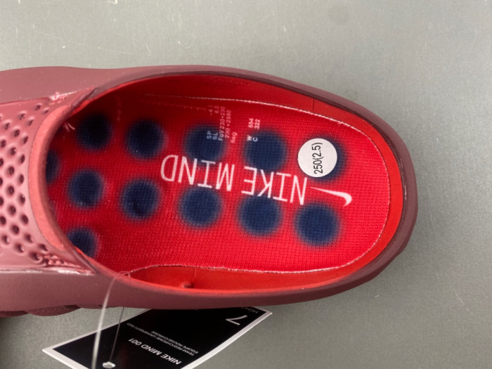Nike Mind 001 