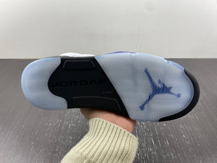 Air Jordan5 CONCORD DD0587-141