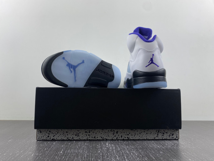 Air Jordan5 CONCORD DD0587-141