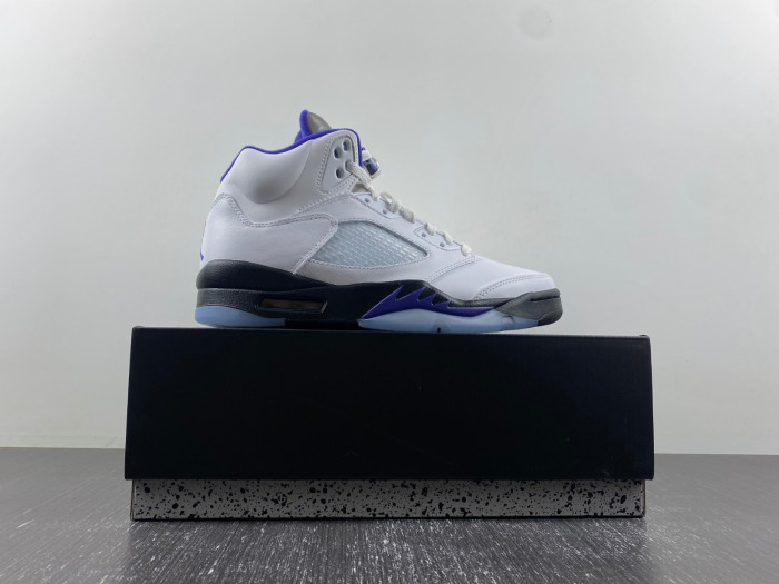 Air Jordan5 CONCORD DD0587-141