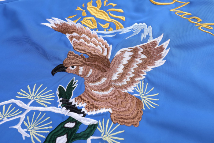 BP547 BAPE JACKET IUU357420B