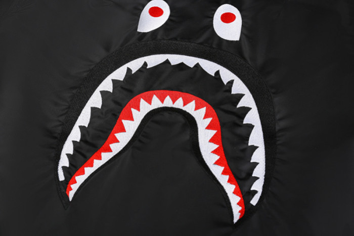 BAPE Jackets BR15975A
