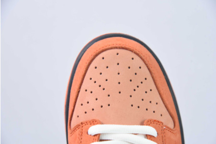CONCEPTS X NIKE SB DUNK LOW