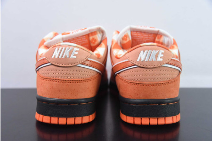 CONCEPTS X NIKE SB DUNK LOW