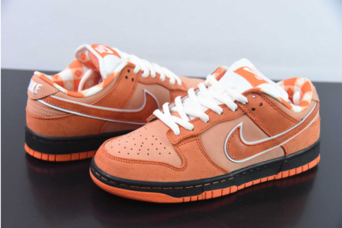 CONCEPTS X NIKE SB DUNK LOW