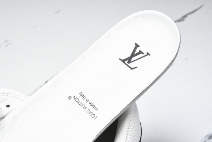 LV SKATE SNEAKER